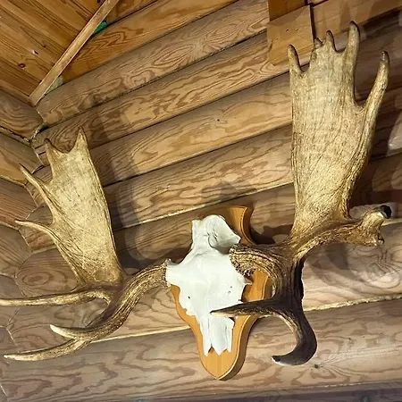 Charming In Yllaes Skiresort *