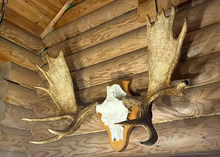 Charming In Yllaes Skiresort *